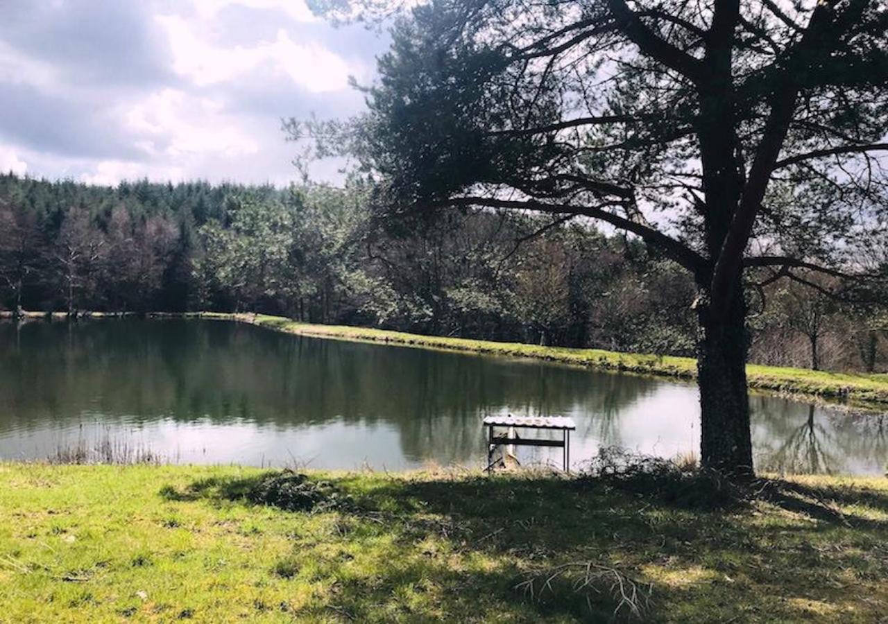 Morvan La Pastourelle Quarré-les-Tombes 外观 照片
