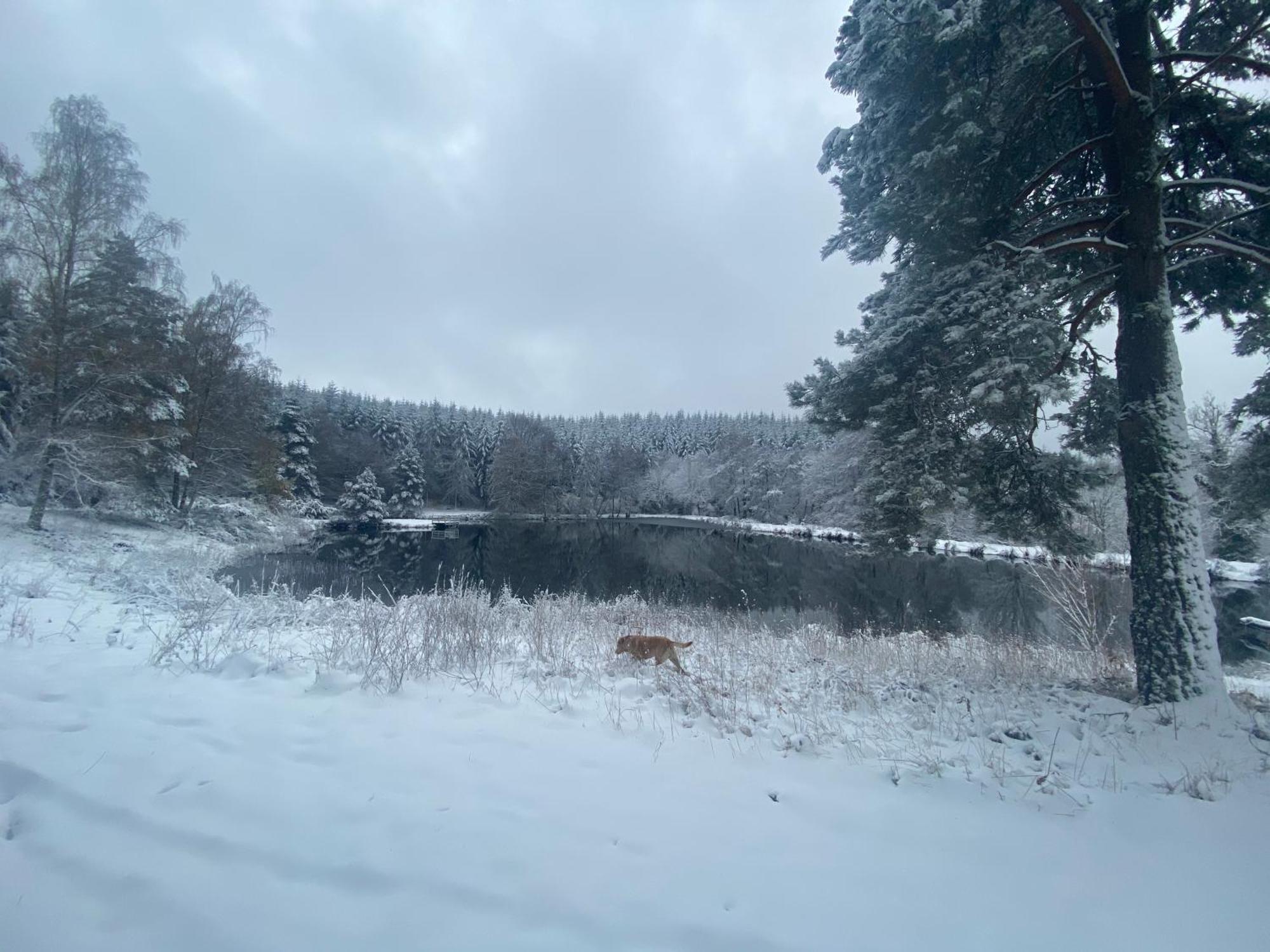Morvan La Pastourelle Quarré-les-Tombes 外观 照片