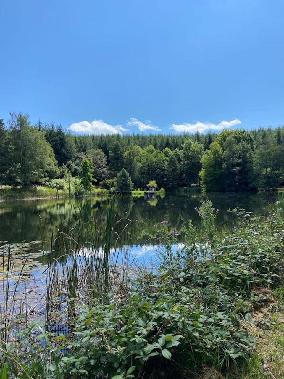 Morvan La Pastourelle Quarré-les-Tombes 外观 照片